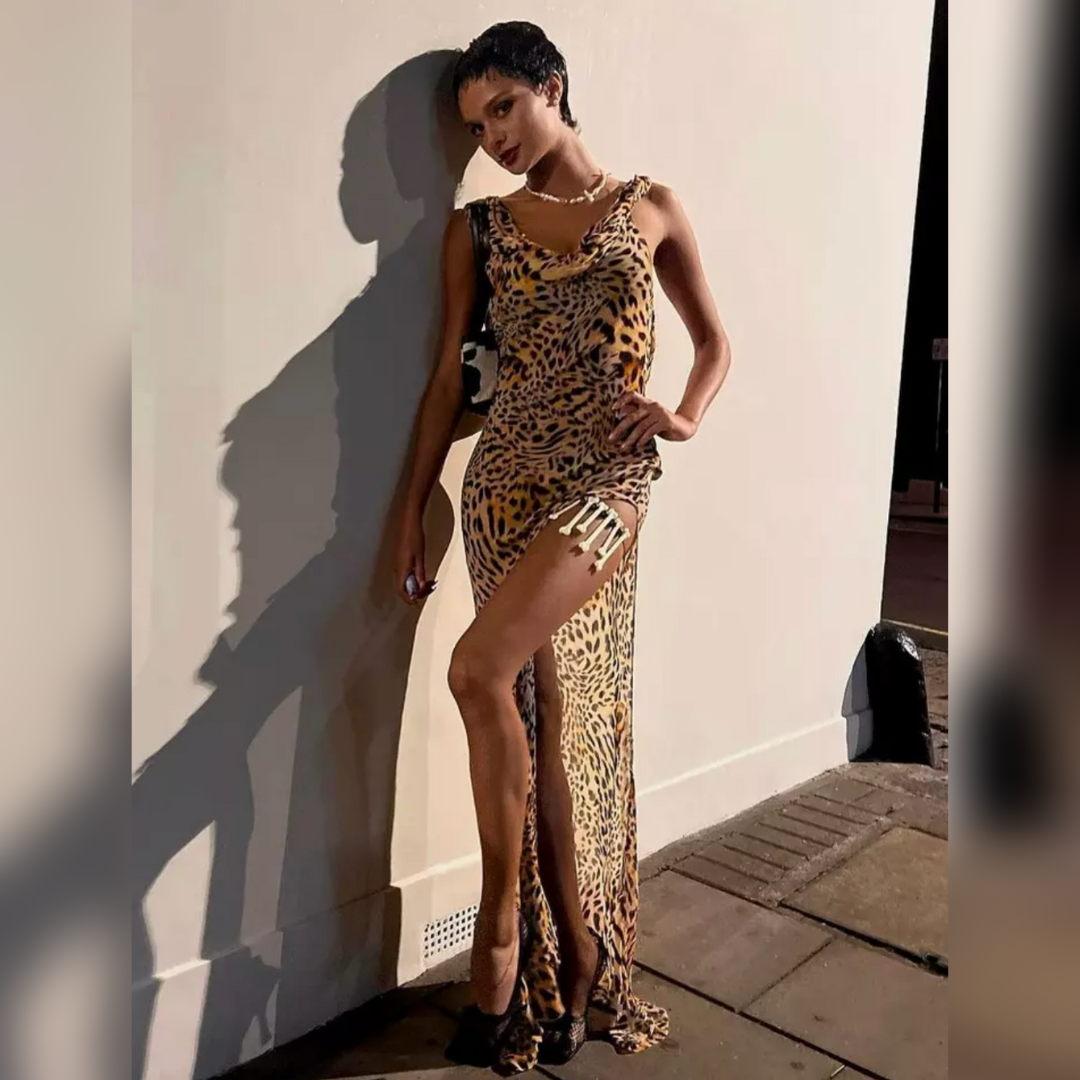 Vanina's Leopard Cover Up